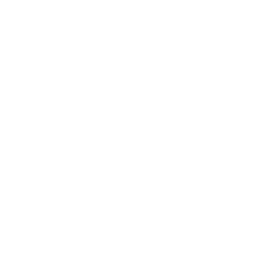 Spin the Wheel Icon